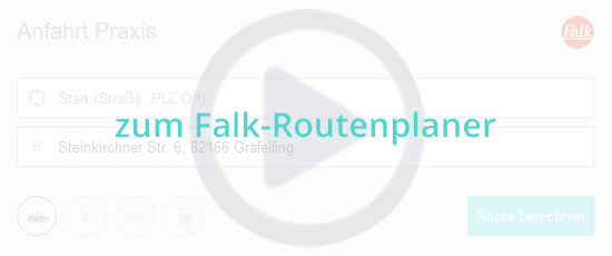Preview Falk Routenplaner